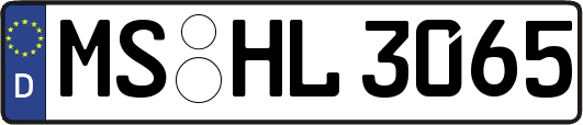 MS-HL3065