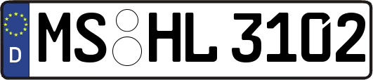 MS-HL3102