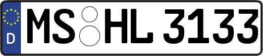 MS-HL3133