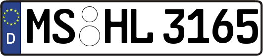 MS-HL3165