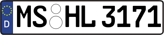 MS-HL3171