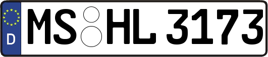 MS-HL3173
