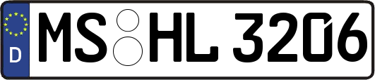 MS-HL3206