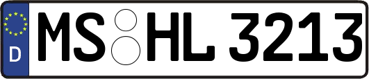 MS-HL3213