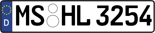 MS-HL3254