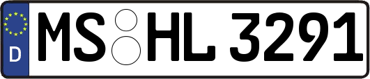 MS-HL3291