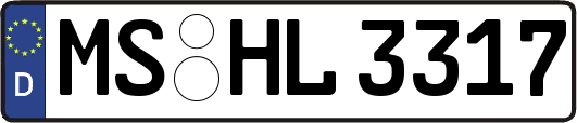 MS-HL3317