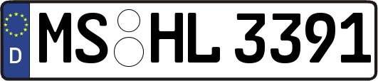 MS-HL3391