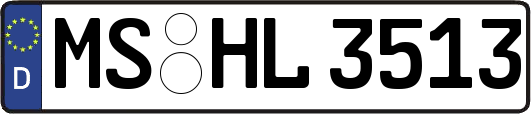 MS-HL3513