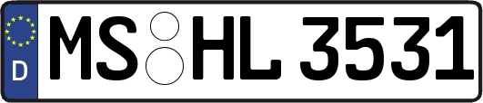 MS-HL3531