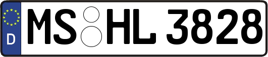 MS-HL3828