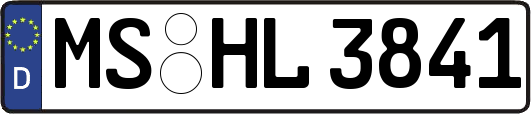 MS-HL3841