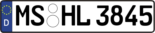 MS-HL3845