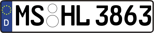 MS-HL3863