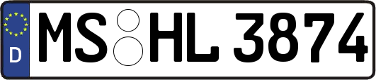MS-HL3874