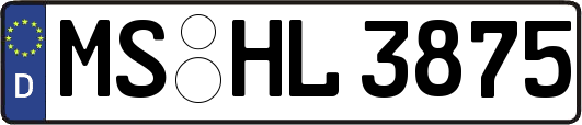MS-HL3875