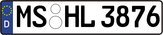 MS-HL3876