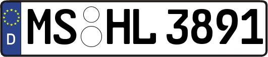 MS-HL3891