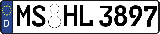 MS-HL3897