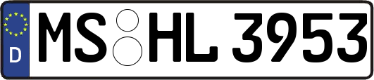 MS-HL3953