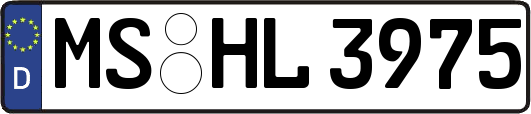MS-HL3975