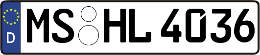 MS-HL4036