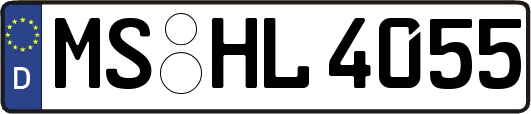 MS-HL4055