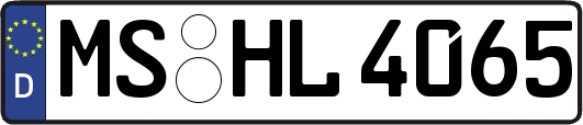 MS-HL4065
