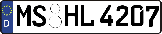 MS-HL4207