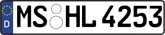 MS-HL4253