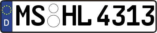 MS-HL4313