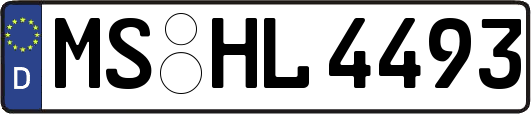 MS-HL4493