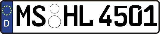 MS-HL4501