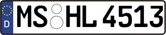 MS-HL4513