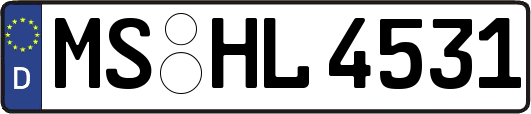 MS-HL4531