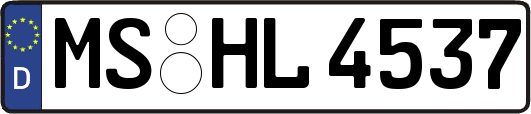 MS-HL4537
