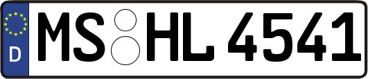 MS-HL4541