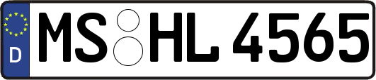 MS-HL4565