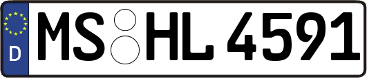 MS-HL4591