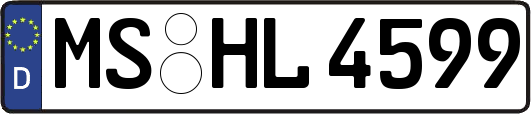 MS-HL4599
