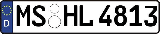 MS-HL4813