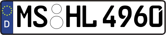 MS-HL4960