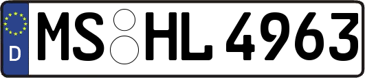 MS-HL4963