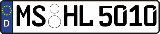 MS-HL5010