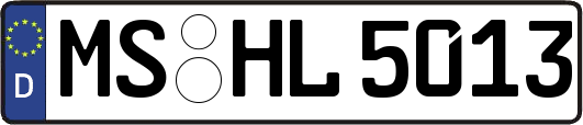 MS-HL5013