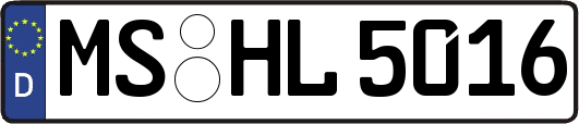 MS-HL5016