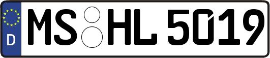 MS-HL5019