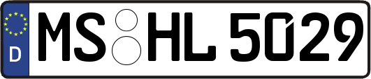 MS-HL5029