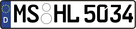 MS-HL5034