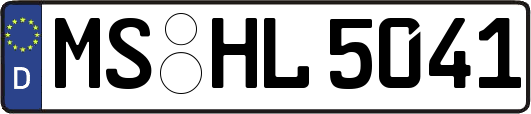 MS-HL5041